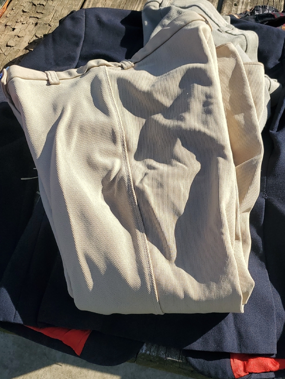 Devon Aire Breeches